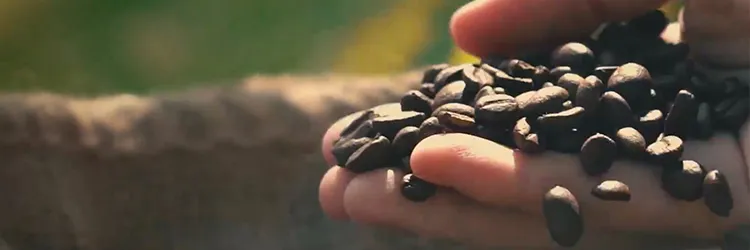 O sabor e o saber de Campo Maior para o mundo