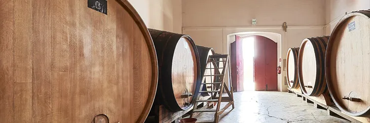 Vinhos com história que brindam ao futuro