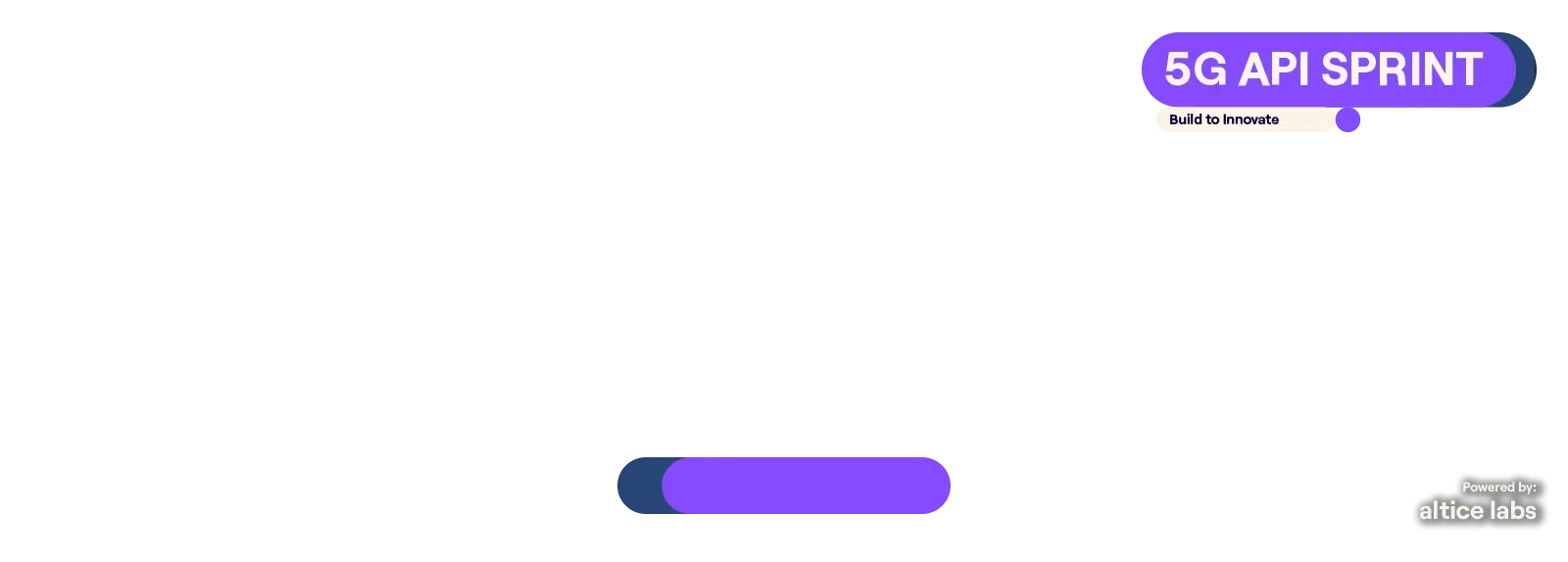 5G API SPRINT