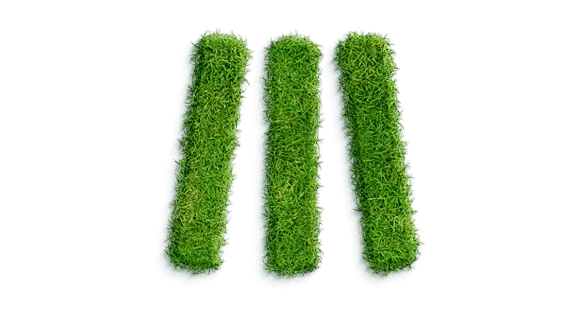 Respeito ambiental e de direitos humanos