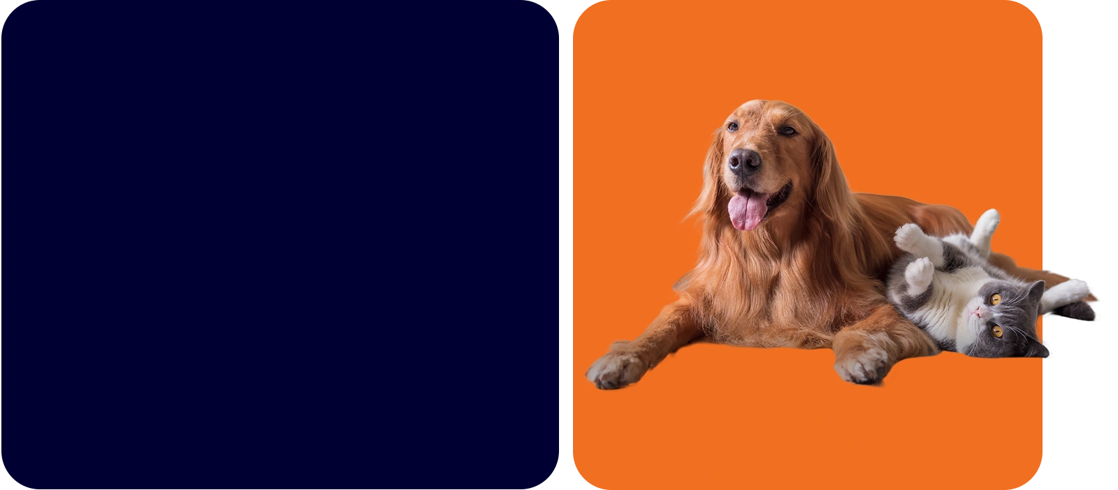 MEO Care Animais, porque o melhor amigo merece tudo