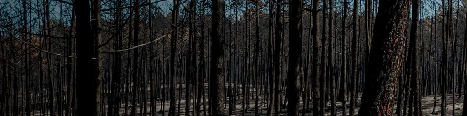 Em caso de incêndio