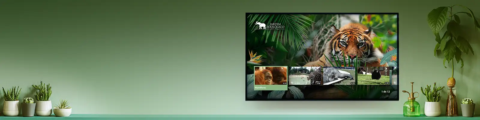 O Jardim Zoológico na tua TV O Jardim Zoológico na tua TV